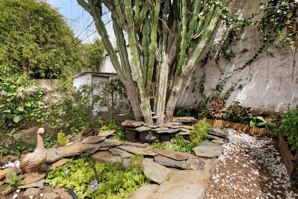 Casa Con Jardin Villa Tacoronte Exterior photo
